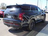 New 2025 Hyundai Palisade Calligraphy image 6