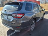 New 2025 Honda Pilot Touring image 5