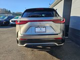 Used 2023 Lexus NX 350 F Sport image 6