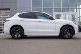 New 2025 Alfa Romeo Stelvio Tributo Italiano w/ Active Assist Plus Package image 4