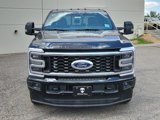 New 2025 Ford F350 Platinum image 2