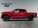 New 2025 Ford F150 XLT image 2