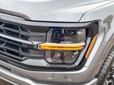 New 2025 Ford F150 XLT image 5