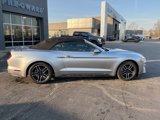 Certified 2022 Ford Mustang Premium image 2