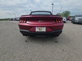 New 2025 Ford Mustang GT Premium image 6