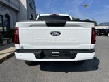 New 2025 Ford F150 STX image 5