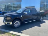 New 2025 Ford F150 XLT w/ Equipment Group 303A High image 2