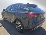 New 2025 Lexus RX 350 Premium Plus image 5