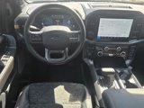 New 2025 Ford F150 Tremor w/ Bed Utility Package image 4