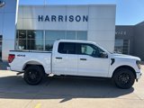 New 2025 Ford F150 STX image 4