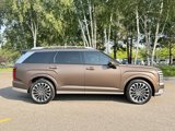 New 2026 Hyundai Palisade Calligraphy image 4