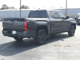 New 2025 Toyota Tundra Platinum image 4