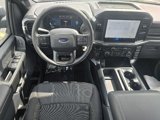 New 2025 Ford F150 STX w/ Equipment Group 200A image 5