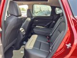 New 2025 Nissan Murano SL image 5