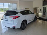 New 2025 Acura RDX SH-AWD w/ Advance Package image 5