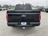 New 2025 Ford F150 Platinum w/ Equipment Group 702A High image 4