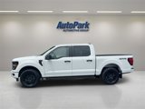 New 2025 Ford F150 STX w/ STX Black Appearance Package image 4