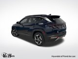 Used 2024 Hyundai Tucson Limited image 4