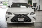 Certified 2024 Lexus ES 350 Luxury image 4