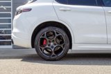 New 2025 Alfa Romeo Stelvio Tributo Italiano w/ Active Assist Plus Package image 6