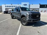 Certified 2024 Ford F250 Lariat w/ Tremor Off-Road Package image 2