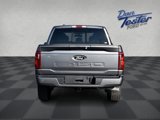 New 2025 Ford F150 XLT w/ Equipment Group 302A MID image 6