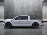 New 2025 Ford F150 Platinum w/ Equipment Group 702A High image 3