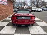 Used 2019 Ford Mustang Premium w/ Equipment Group 201A image 4