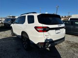 New 2025 Honda Pilot Elite image 2