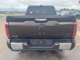 New 2025 Toyota Tundra 1794 Edition image 4