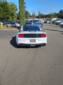 Used 2023 Ford Mustang GT w/ Mustang Nite Pony Package image 2