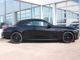 New 2025 BMW 430i xDrive Convertible w/ M Sport Package image 4