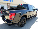 New 2025 Ford F150 STX w/ STX Black Appearance Package image 5