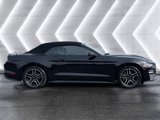 Used 2022 Ford Mustang Premium image 6