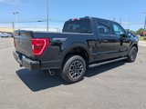 Used 2023 Ford F150 XLT w/ Equipment Group 302A High image 4