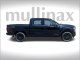 New 2025 Ford F150 Platinum w/ Equipment Group 702A High image 2