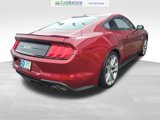 Used 2019 Ford Mustang GT Premium w/ Equipment Group 401A image 5