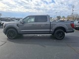 New 2025 Ford F150 Platinum image 4