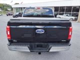 Certified 2022 Ford F150 XLT w/ Bed Utility Package image 4