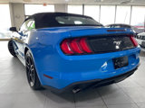 Used 2023 Ford Mustang Premium image 5