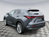 Used 2025 Lexus NX 350 AWD w/ Premium Package image 4