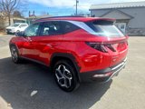 Used 2023 Hyundai Tucson Limited image 6