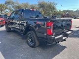 New 2025 Ford F250 Platinum image 6