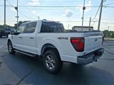 New 2025 Ford F150 XLT w/ Equipment Group 302A MID image 5