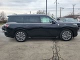 New 2025 INFINITI QX80 Luxe image 2