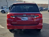 Certified 2024 Honda Odyssey Elite image 6