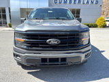 New 2025 Ford F150 XLT w/ Equipment Group 302A MID image 6