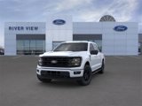 New 2025 Ford F150 XLT w/ Equipment Group 302A MID image 2