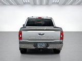 Certified 2023 Ford F150 XLT w/ Equipment Group 302A High image 4