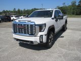 New 2025 GMC Sierra 2500 Denali w/ Denali Reserve Package image 2